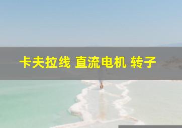 卡夫拉线 直流电机 转子